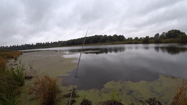ЩУКА С БЕРЕГА В СЕНТЯБРЕ смотреть онлайн