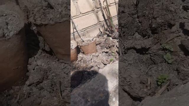 Кабельный полив на дачу из 30л кеги смотреть онлайн