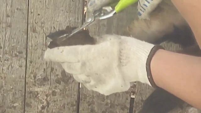 Что творится в стаде.Таскаю козлов.Делаю уколы.Стригу копыта смотреть онлайн