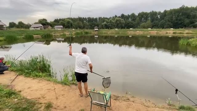 Толстолоб на пенопласт смотреть онлайн