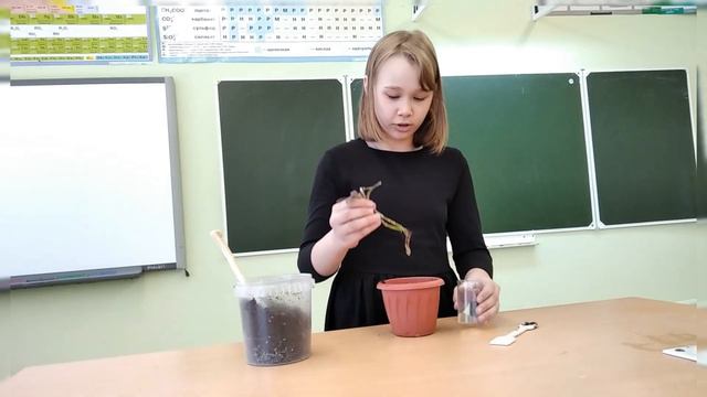 Уткина Любовь. 5 класс. Размножение комнатных растений. смотреть онлайн