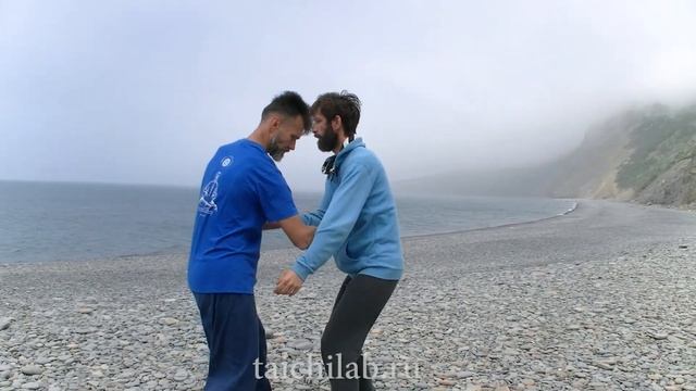13 форм.Выездной семинар " Школы Лаборатории ТайЦзи". смотреть онлайн