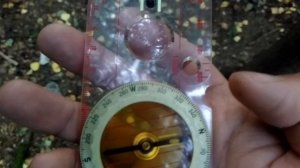 Как пользовать компасом в лесу