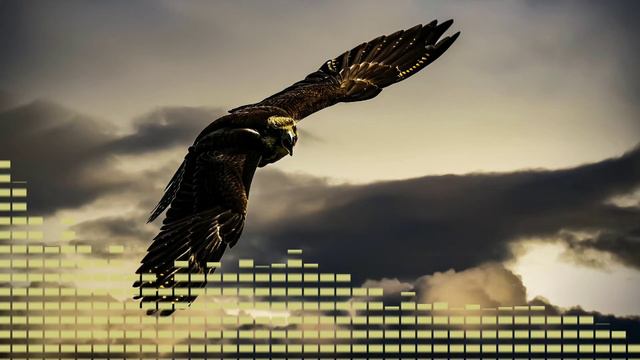 Hollyflame - Птицей(подпишись, чтоб не пропустить новинки 🔔👍) #hollyflame # птицей