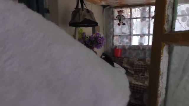 ВАРВАРА ПЕТРОВНА ВАС и ВСЕХ БАБУШЕК СО СТАРЫМ НОВЫМ ГОДОМ!!! смотреть онлайн