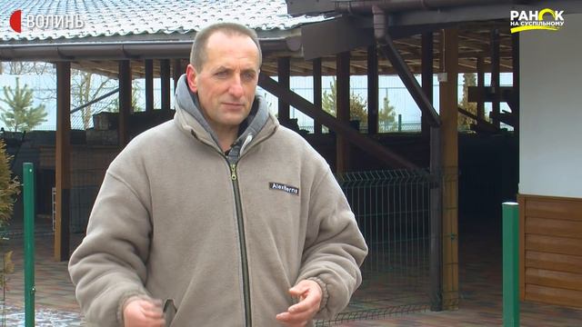 Собаки породи Бернський Зенненхунд: як доглядають за чемпіонами Європи у професійних розплідниках смотреть онлайн