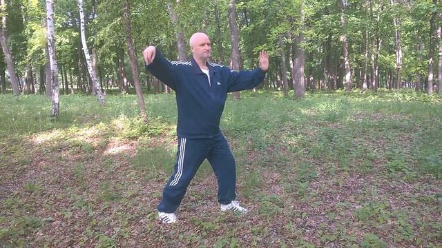 Тайцзи "Толкнуть обезьяну" смотреть онлайн