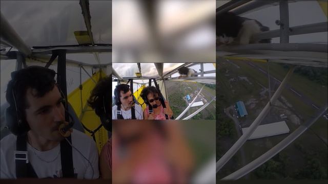 Котик на крыле самолета 2 часть смотреть онлайн