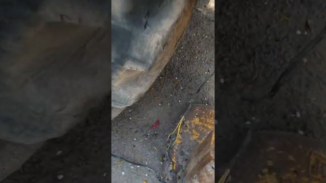 JCB- 4cx ремонт эл оборудования ! смотреть онлайн