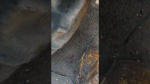 JCB- 4cx  ремонт эл оборудования !