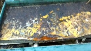 СОЛНЕЧНАЯ ВОСКОТОПКА больших размеров! Делаем своими руками!