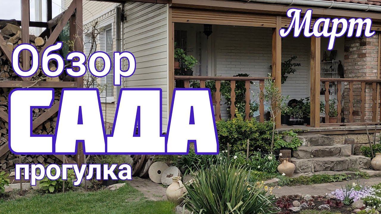 Обзор сада прогулка27 марта смотреть онлайн
