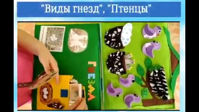 Лэпбук "Птицы - наши друзья" Кандыбко Е. Л. воспитатель детского сада 12 г. Рудный смотреть онлайн