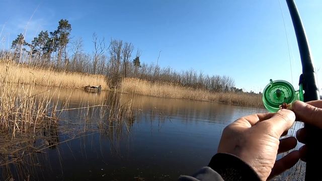 ЛУЧШАЯ СНАСТЬ НА КАРАСЯ В КАМЫШЕ! ЛОВЛЯ КАРАСЯ НА БОКОВОЙ КИВОК!  РЫБАЛКА НА КРУПНОГО КАРАСЯ ВЕСНОЙ