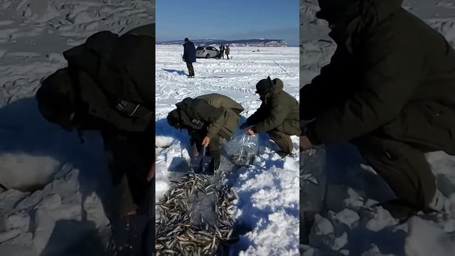 Де-Кастри 14 февраля 2017 года смотреть онлайн