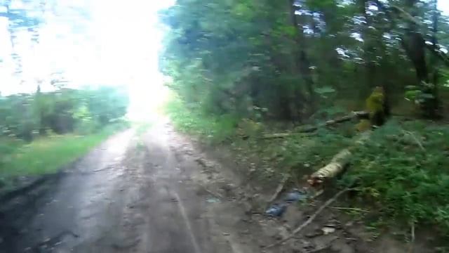 Поход в заповедник Липичанская пуща .Юзин Бор. Леса Беларуси смотреть онлайн