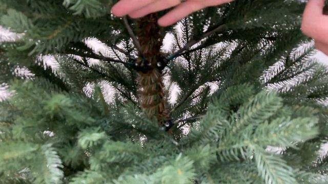 Black Box - Обзор искусственной ели Калифорнийская стройная 100% литая смотреть онлайн