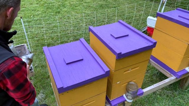 Setup for the Honey Flow//How to set your hives up to make honey смотреть онлайн