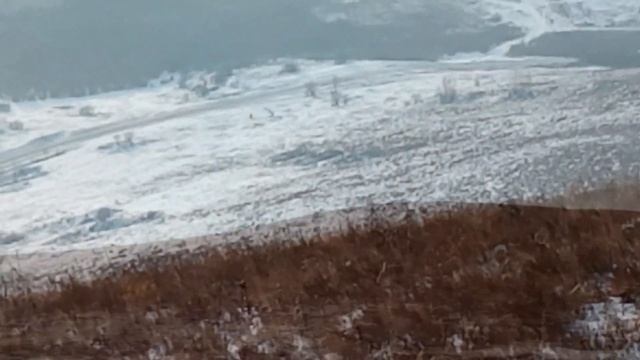 ПараМания или крайние полеты 2019 смотреть онлайн