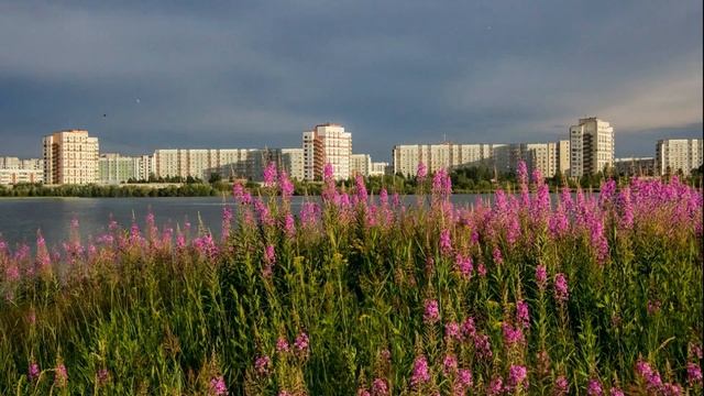 Мой город Северодвинск. смотреть онлайн