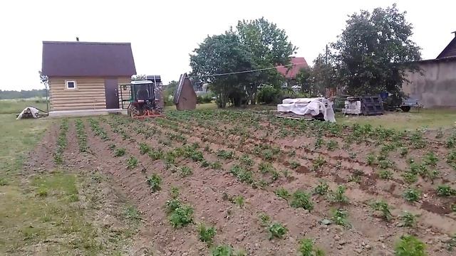 Самодельный трактор окучивание картошки смотреть онлайн