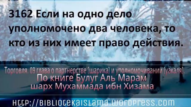 3162 Если на одно дело уполномочено два человека, то кто из них имеет право действия смотреть онлайн