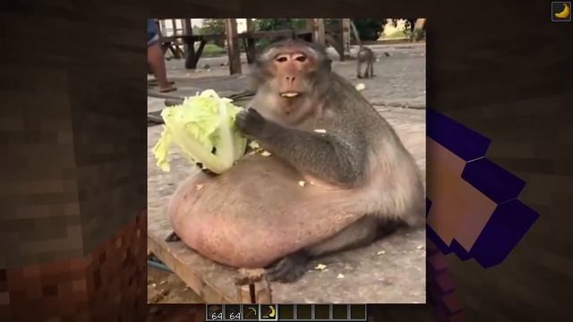 I Made My Own Custom Ores In Minecraft 1.19 смотреть онлайн