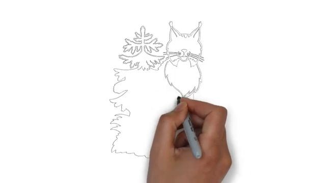 как нарисовать рысь,how to draw a bobcat,cómo dibujar un lince,Drava et le nouveau Bobcat смотреть онлайн