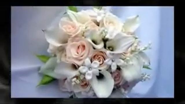 Белые розы (Alcroock) смотреть онлайн