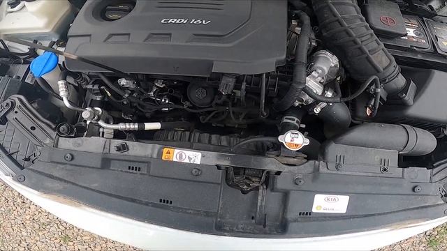Where is Engine Oil Level Rod in Kia Ceed II ( 2012 - 2018 ) - Check Oil Level смотреть онлайн