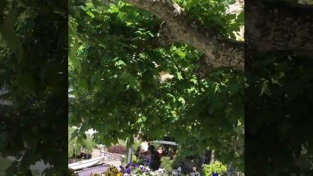 Варенна Италия Varenna Italy смотреть онлайн