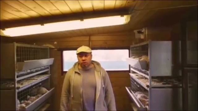 КОРМЛЕНИЕ БРОЙЛЕРОВ. Способы, корма. смотреть онлайн