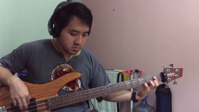 Tonight Alive - How Does it Feel? Bass Cover смотреть онлайн