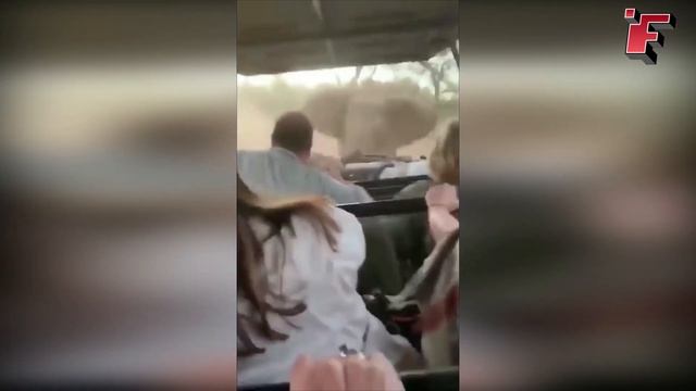 Такое Редко Увидишь! Эти Видео Повезло Снять на Камеру