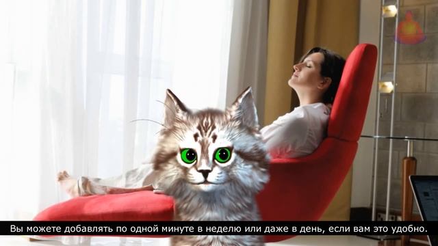 Откройте для себя силу ежедневной медитации всего за 5 минут в день. смотреть онлайн