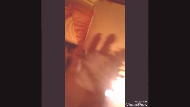 Моя коллекция ракушек ? смотреть онлайн