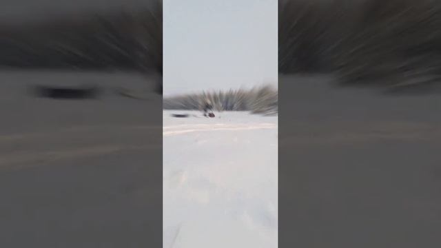 Обзор на Мотоснегокат Эгоист Max от компании Русоход смотреть онлайн