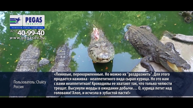 «Новости Пегас Туристик» Рейс 25 января Хабаровск-Паттайя смотреть онлайн