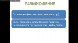 7 классы 16.10.2020. Био. лишайники