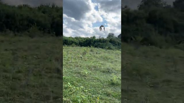 Вот так должны делать все настоящие охотники смотреть онлайн