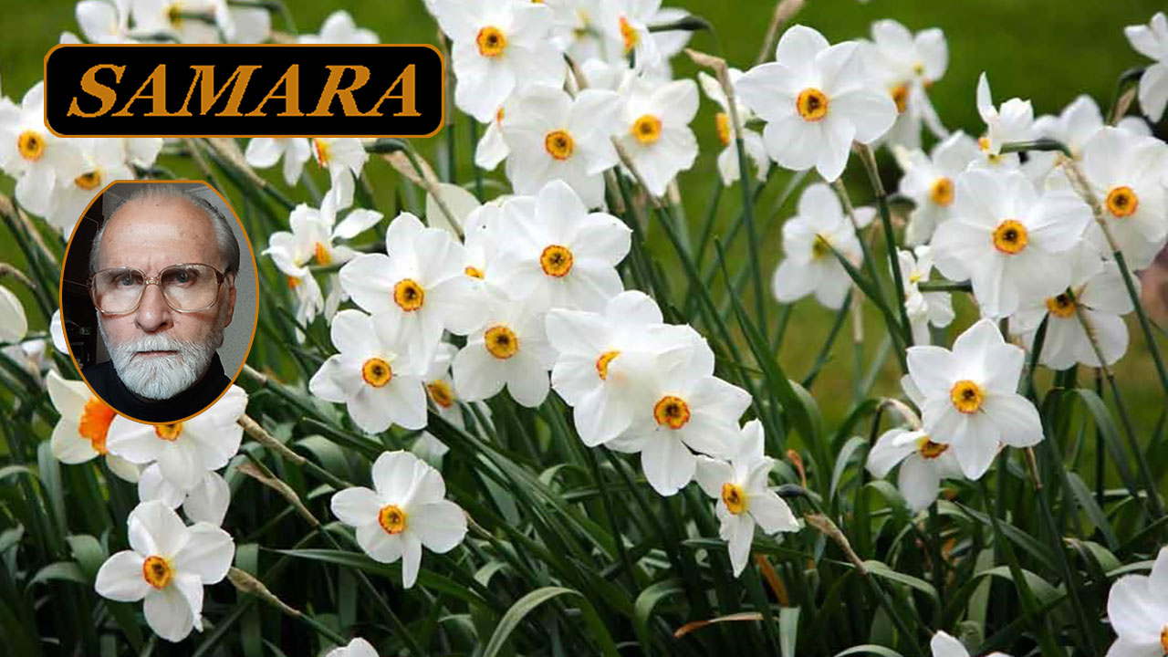 Самара. Ботанический сад. Апрель 2024. 1. Samara. The Botanical Garden. April. смотреть онлайн