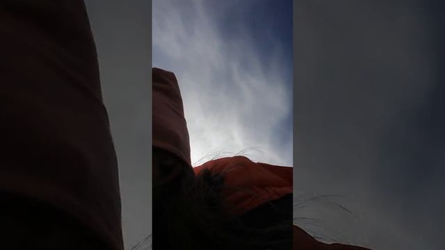 Гуляю с сабакой может быть вейдет ролик как я катаюсь на гироскутере