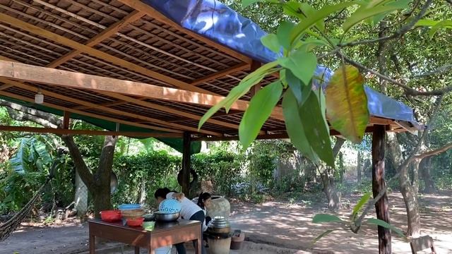 Pick Bilimbi Fruit / Bilimbi Fruit Recipe / Prepare By Countryside Life TV. смотреть онлайн