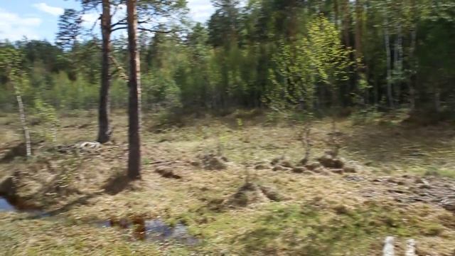 Озеро в Ногинском районе смотреть онлайн