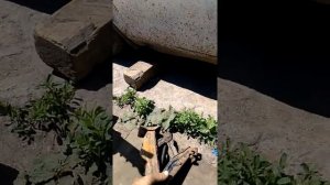 Как  выровнять ось прицепа за 15 минут