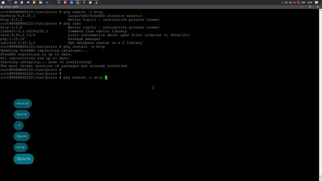 Установка пакетов с помощью pkg | FreeBSD 12.2 смотреть онлайн
