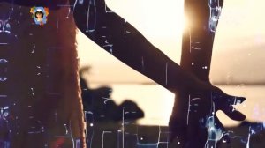 Бархатный лофт