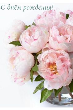 В день рождения желаю
Счастья, радости, добра!
Пусть здоровье и удача
Будут рядышком всегда! смотреть онлайн