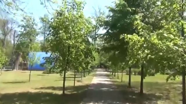 История Северского парка смотреть онлайн