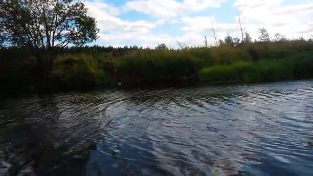 Рыбалка Ловля больших ельцов и подлещиков смотреть онлайн